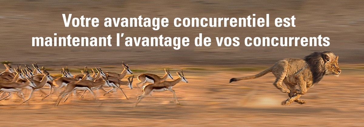 your competitive advantage