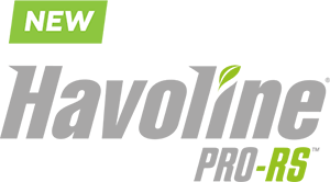 logo logo