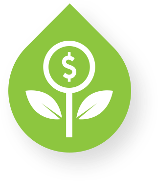 Money flower icon Money flower icon