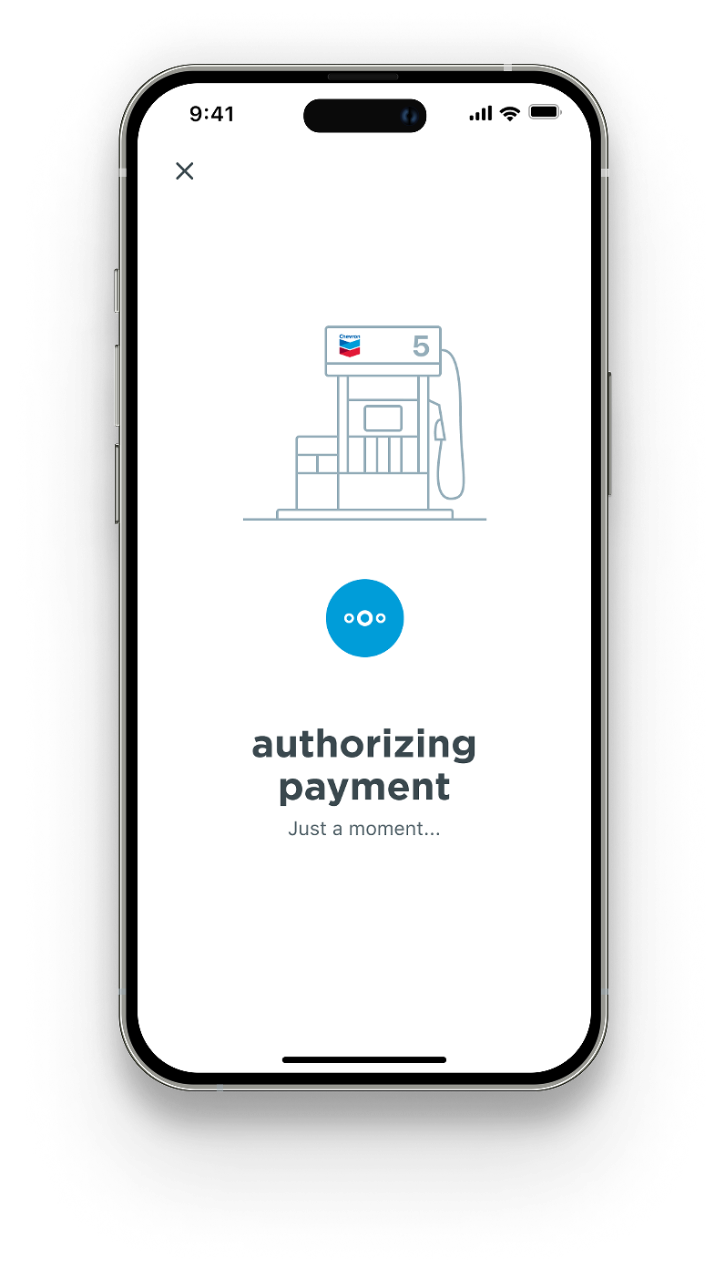 Authorize payment screen