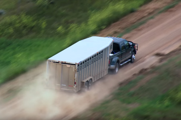 Hear more about Techron for diesel engines